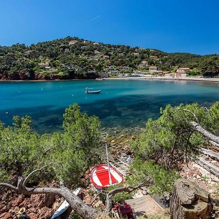 Appartement "Le Fabregas" 4 Pers Vue Mer La Seyne-sur-Mer Exterior foto